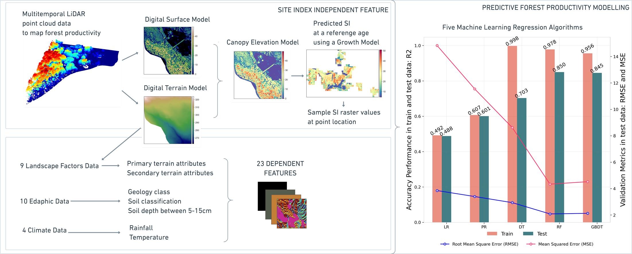 Forest Productivity Model